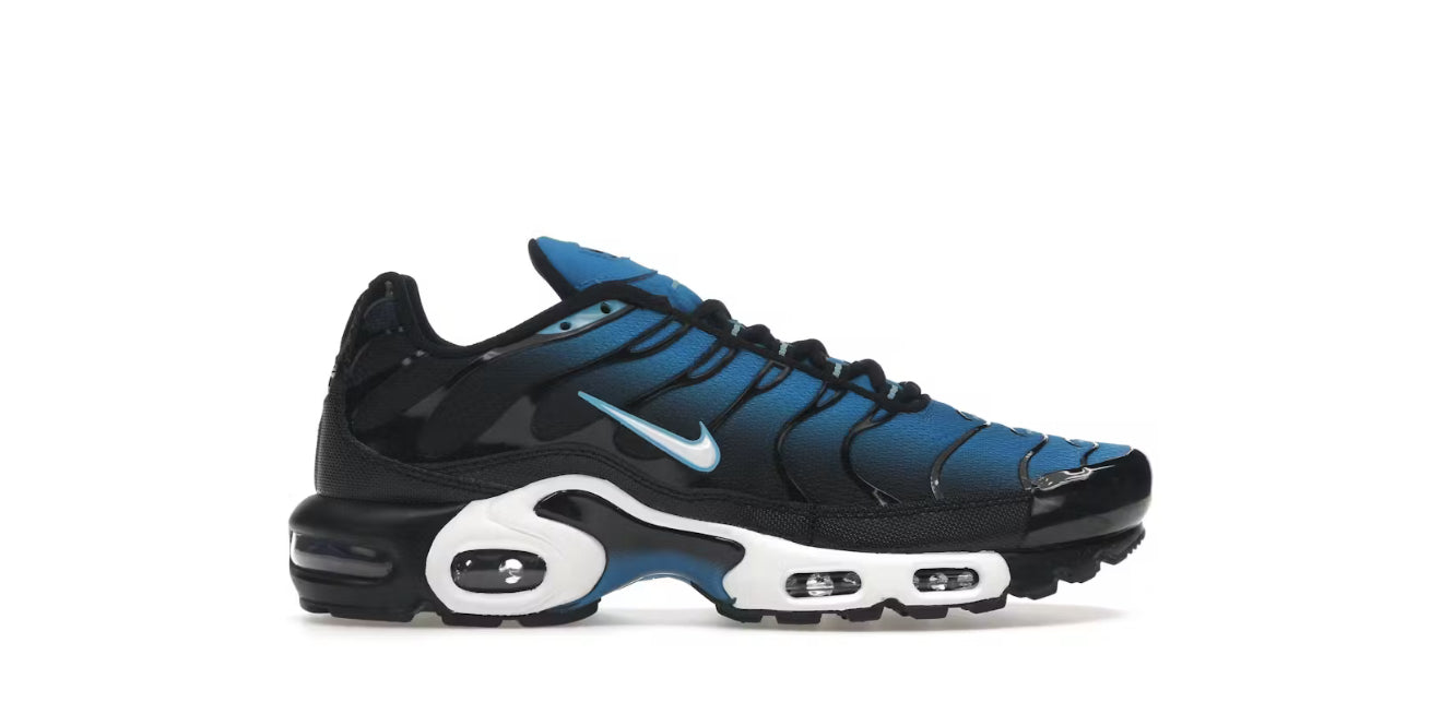 Aquarius Blue AIr Max Plus