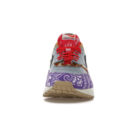 nike_air_max_1_sp_concepts_far_out_regular_box_3