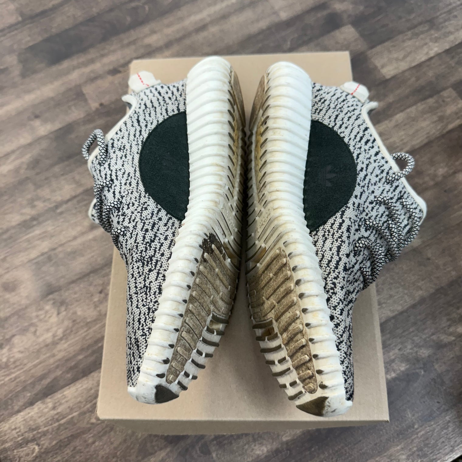 Turtle Dove Yeezy 350 (USED, No Box)