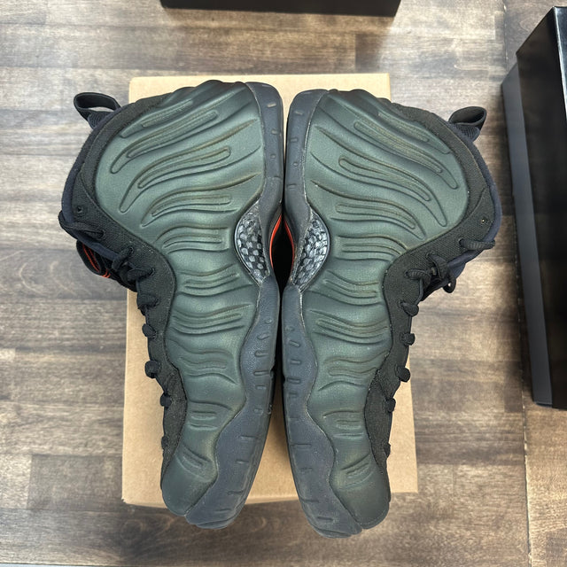 Sequoia Nike Air Foamposite Pro (USED, No Box)