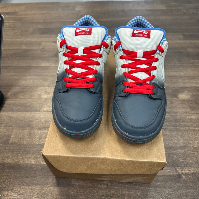 Dorothy SB Dunk Low (USED, No Box)