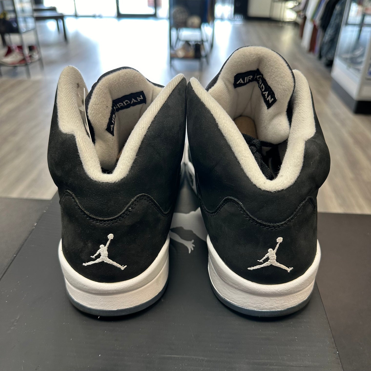 Moonlight Jordan 5 (USED)