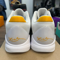 Alternate Bruce Kobe 5 Protro (Lightly Worn, No Box)