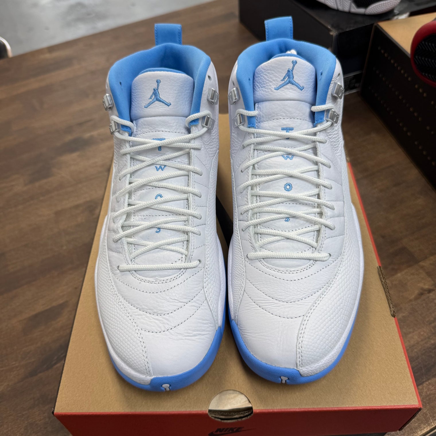Melo Jordan 12 (2025) (USED)