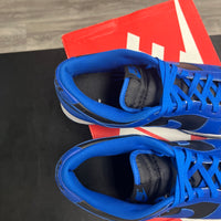 Cobalt Dunk Low (USED)