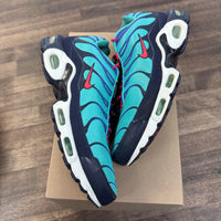 Discover Your Air Air Max Plus (USED,No Box)
