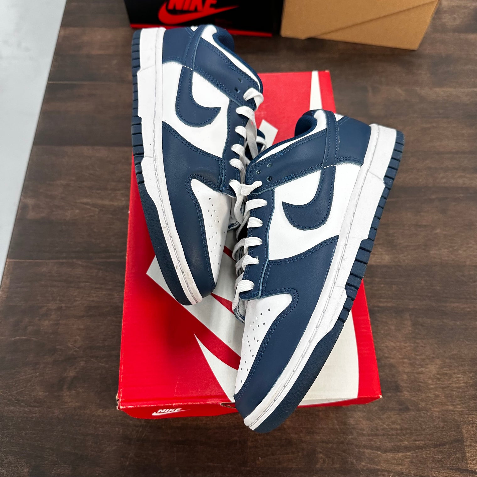 Valerian Nike Dunk Low (USED)