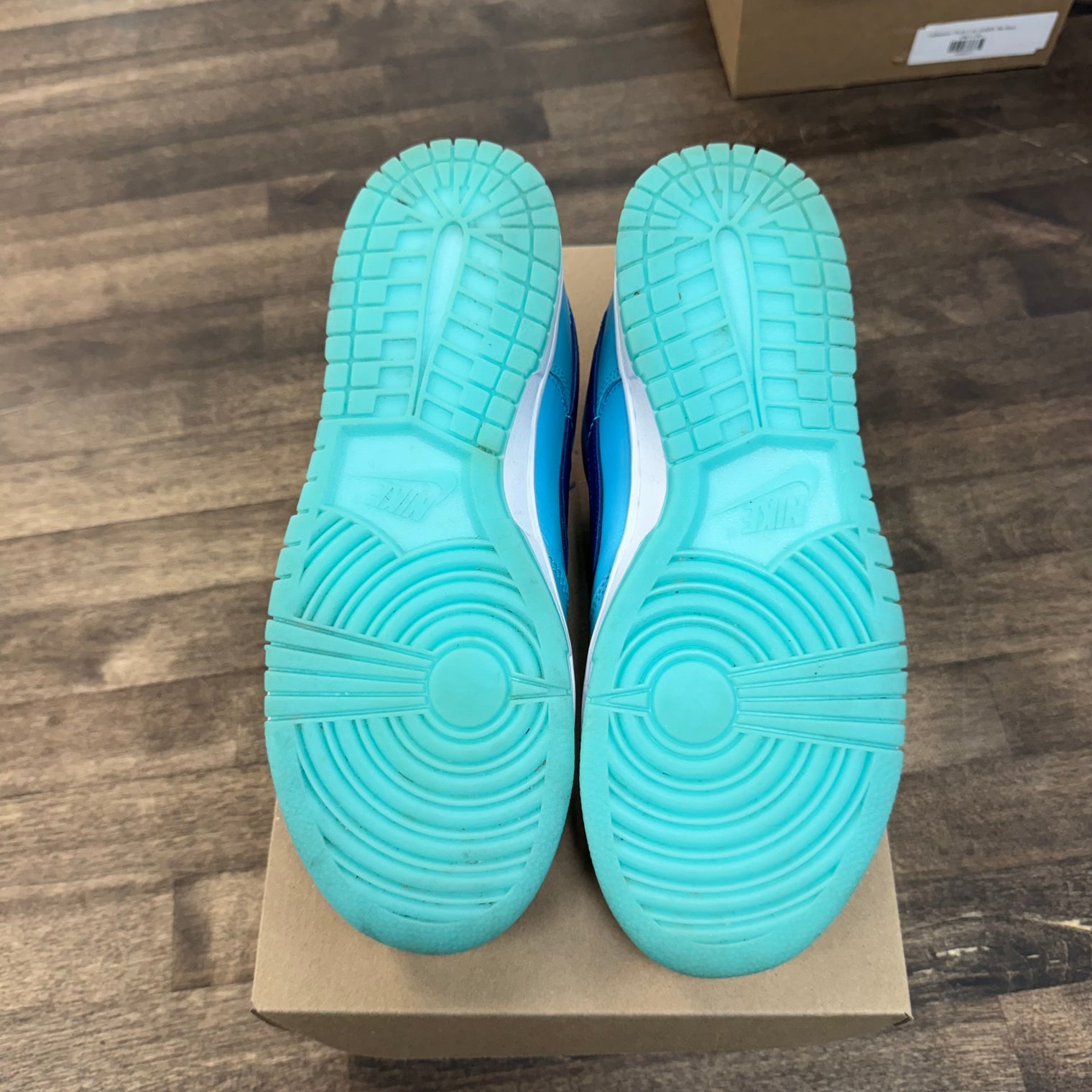 Baltic Blue Total Orange Dunk Low (USED, No Box)
