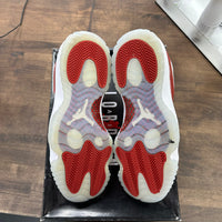 Cherry Jordan 11 Retro (2022) (USED)
