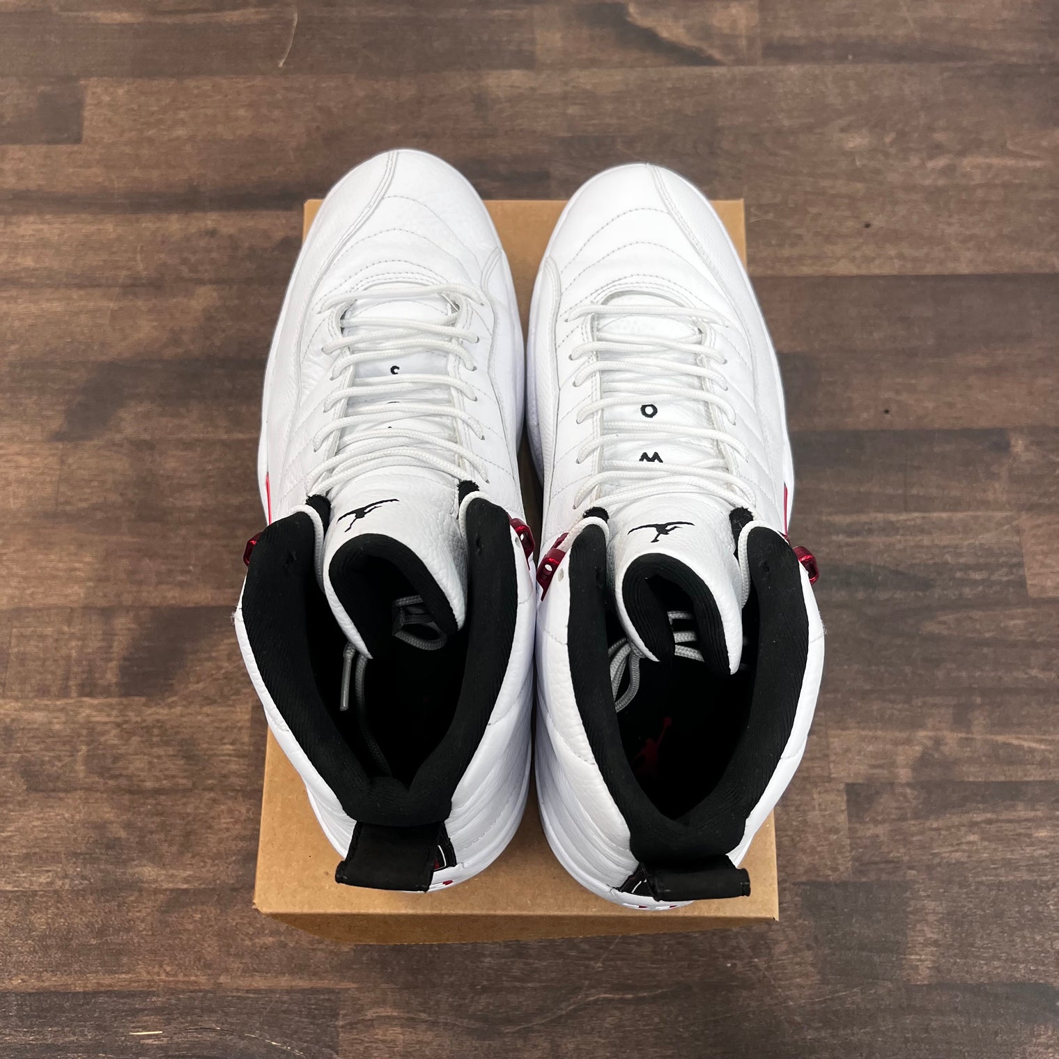 Twist Jordan 12 (USED, No Box)