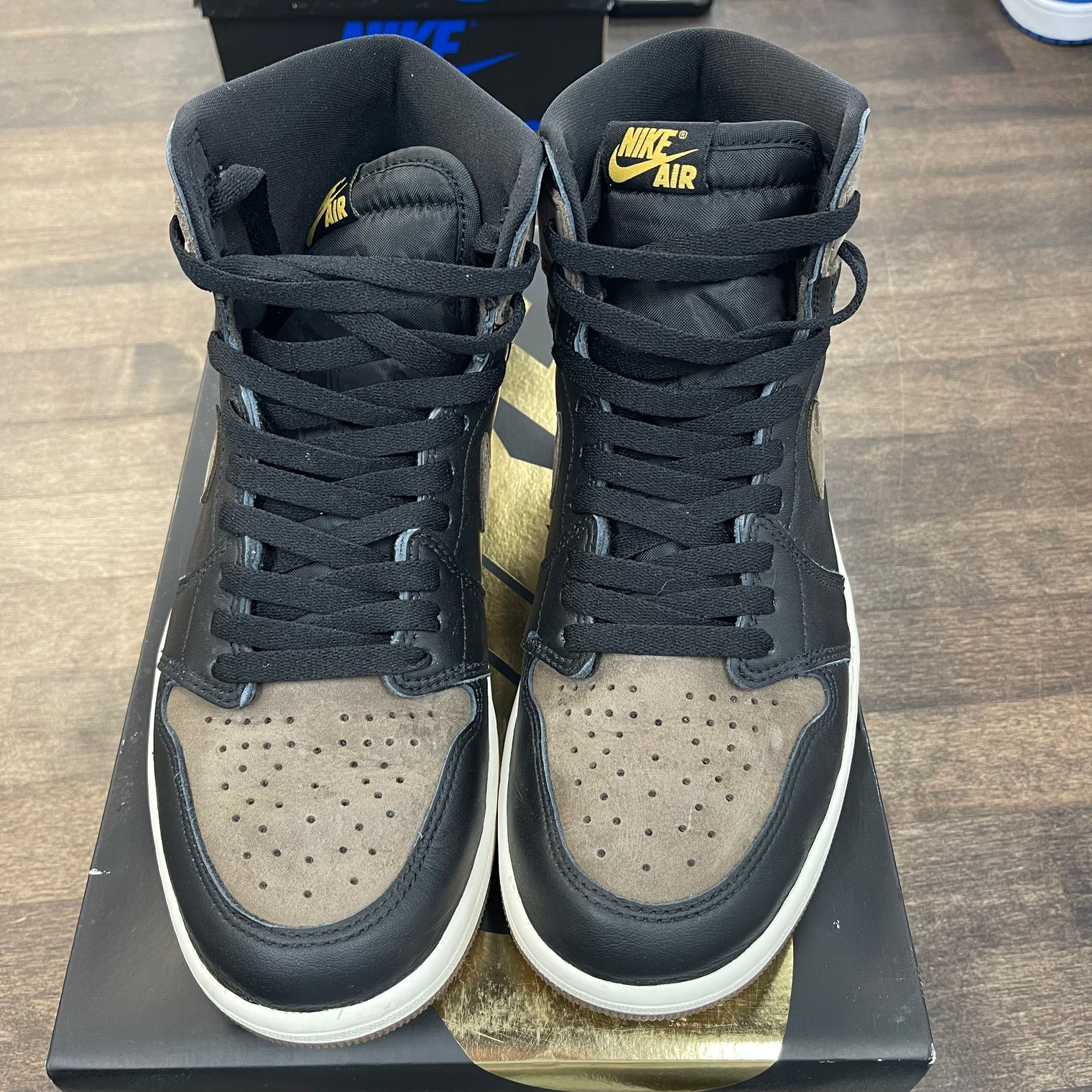Palomino Jordan 1 High (USED)