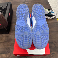 Polar Blue Dunk Low (USED)
