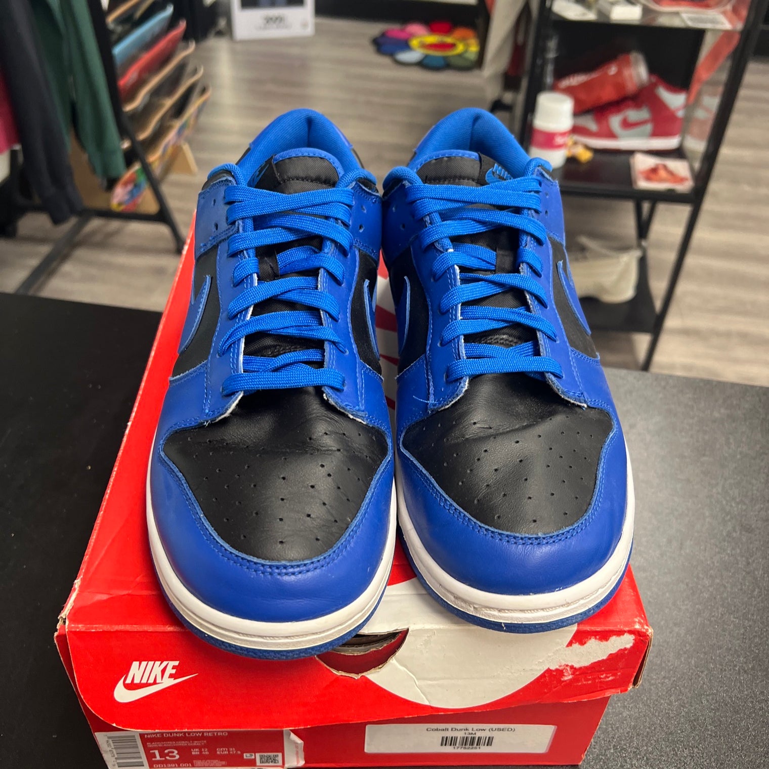 Cobalt Dunk Low (USED)