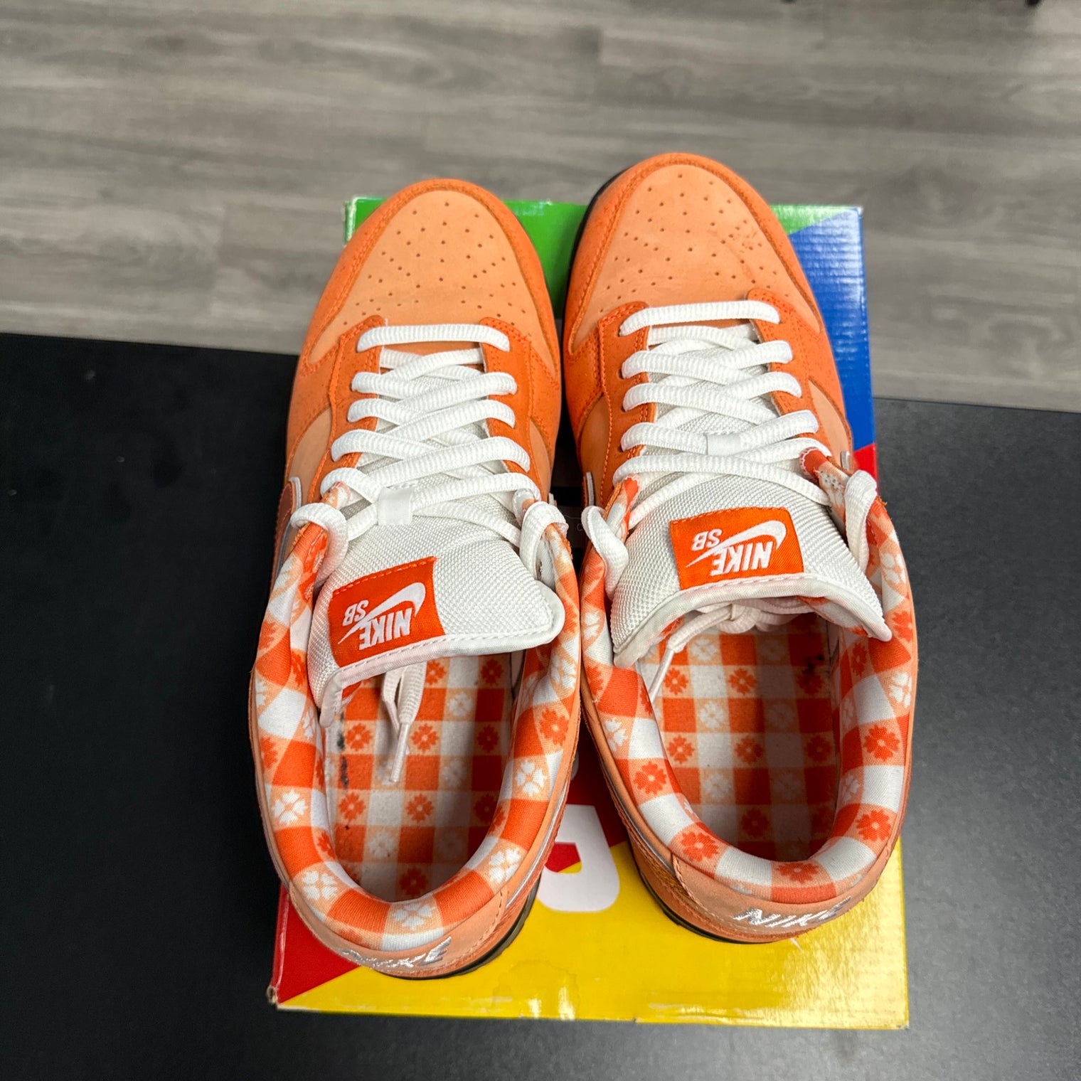 Orange Lobster SB Dunk Low (USED)