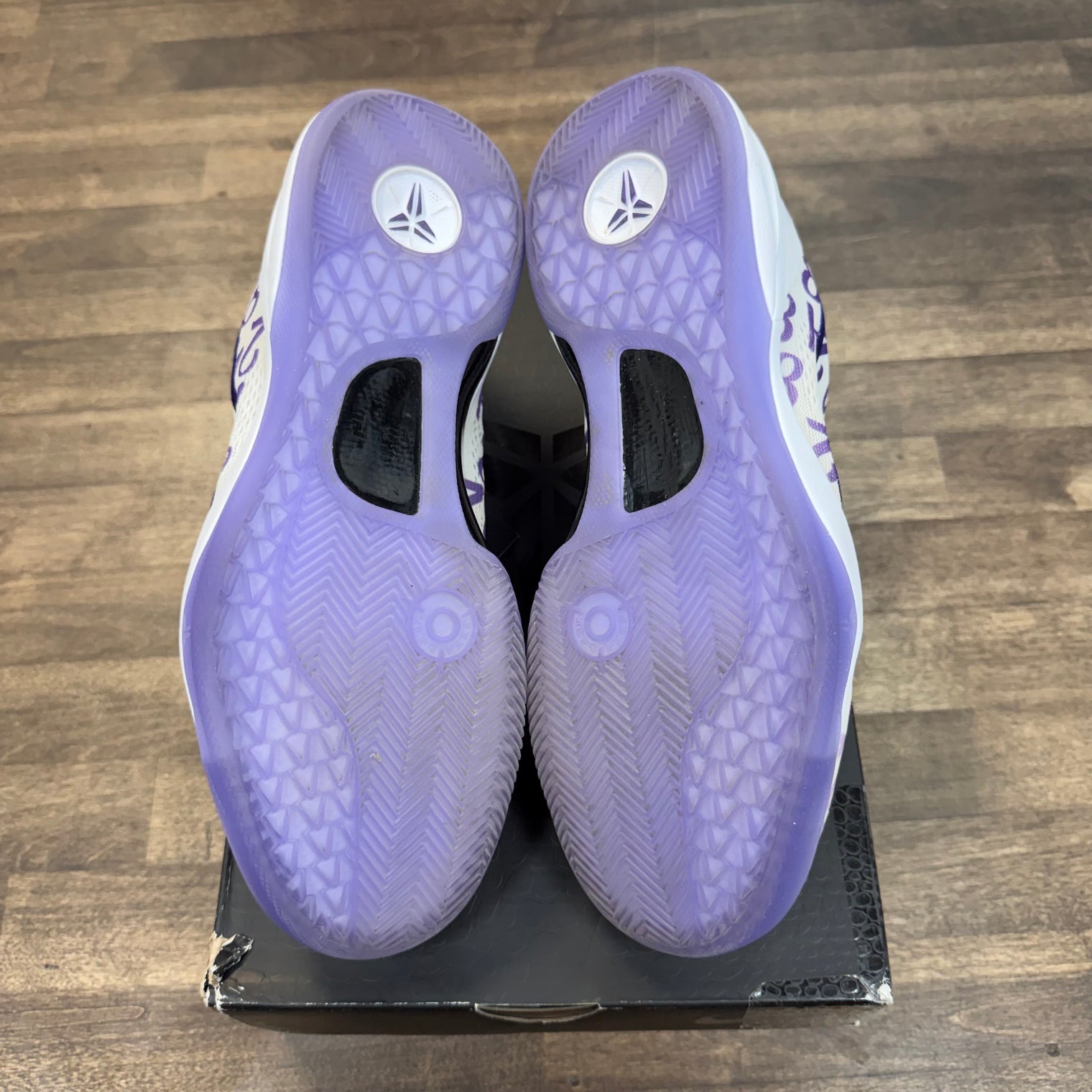 Court Purple Kobe 8 Protro (USED, Replacement Box)