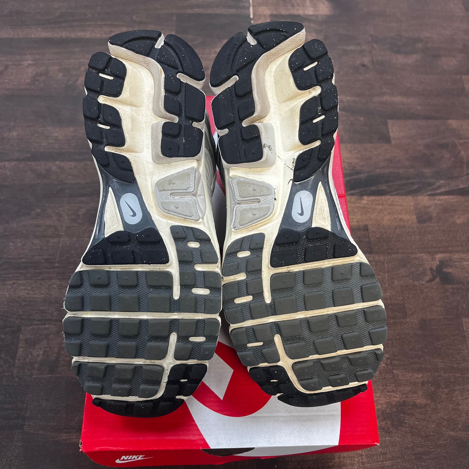 Platinum Tint Nike Vomero 5 (USED)
