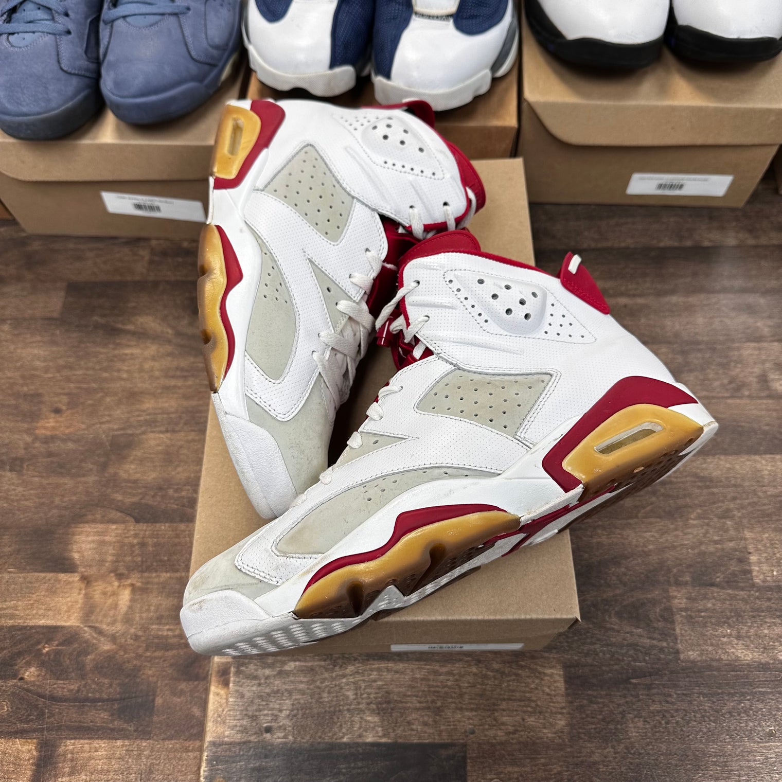Alternate Jordan 6 (USED, No Box)