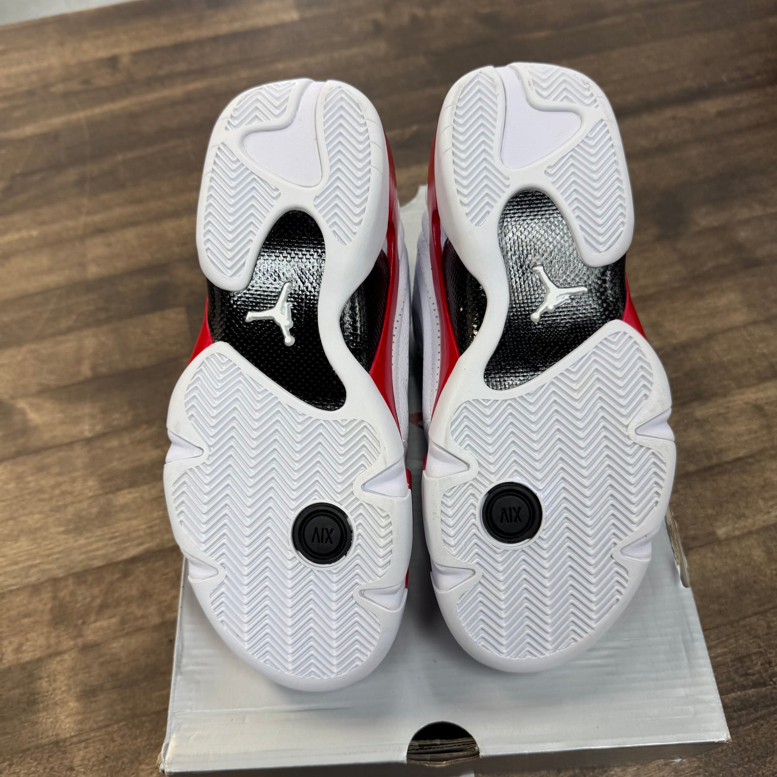 Rip Hamilton Candy Cane Jordan 14 Retro (Tried On)