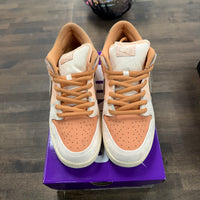 Trocadero Gardens Nike SB Dunk Low (USED)