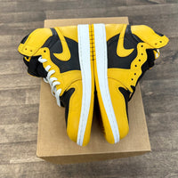Pollen Jordan 1 High (GS) (USED, No Box)