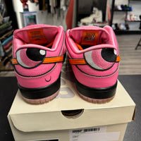 Powerpuff Blossom SB Dunk Low (USED)