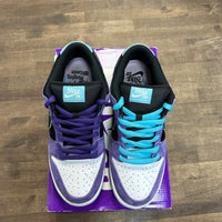 Haley Wilson Nike SB Dunk Low (USED)