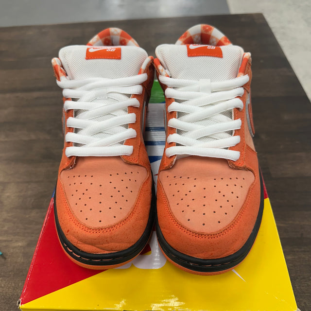 Orange Lobster SB Dunk Low (USED)