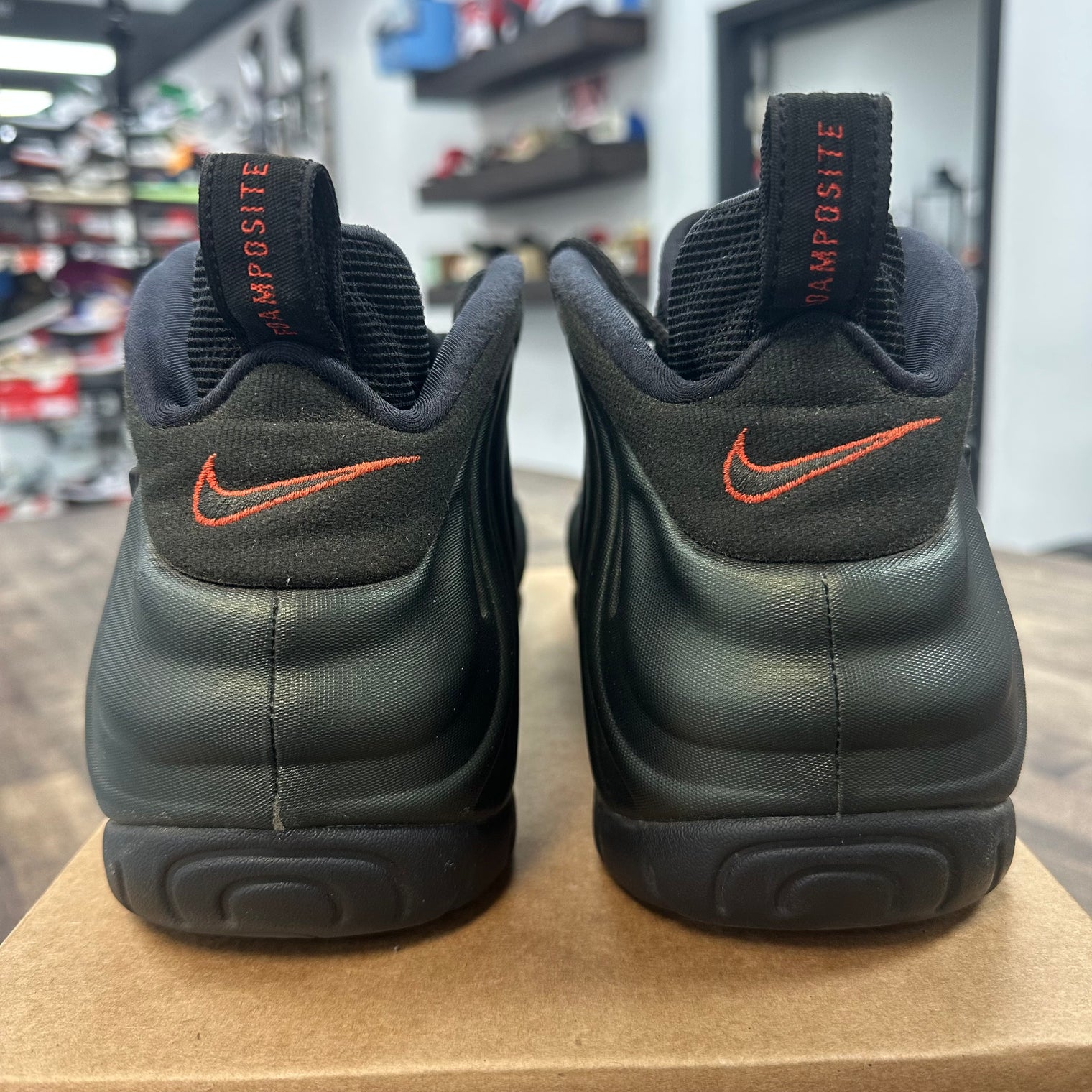 Sequoia Nike Air Foamposite Pro (USED, No Box)