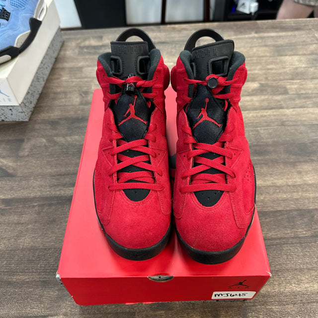 Toro Jordan 6 Retro (USED)