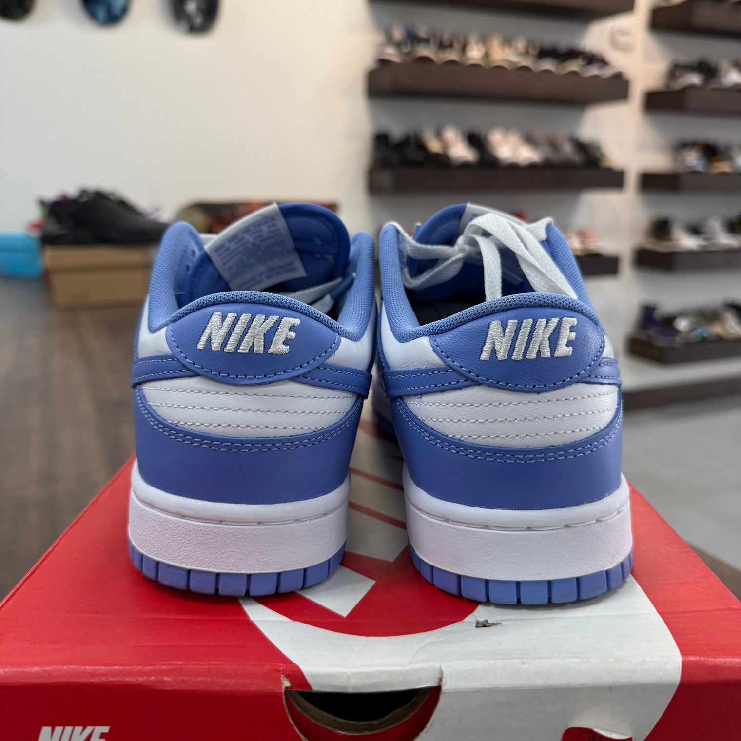 Polar Blue Nike Dunk Low (USED)