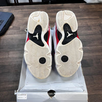 Candy Cane Rip Hamilton Jordan 14 (USED)