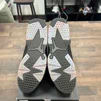 Chameleon Jordan 6 (USED)