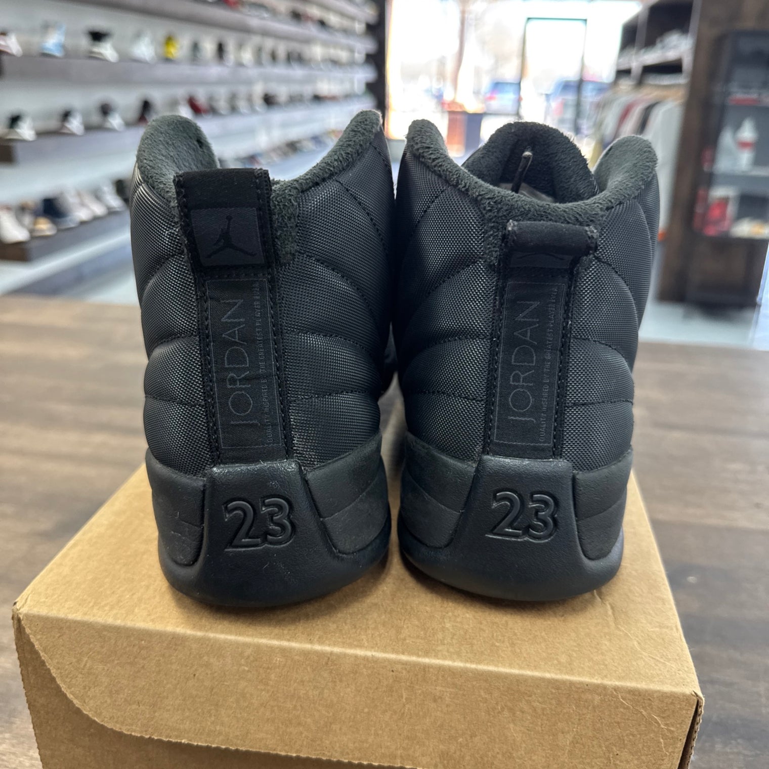 Winter Black Jordan 12 (USED, No Box)