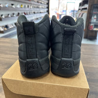 Winter Black Jordan 12 (USED, No Box)