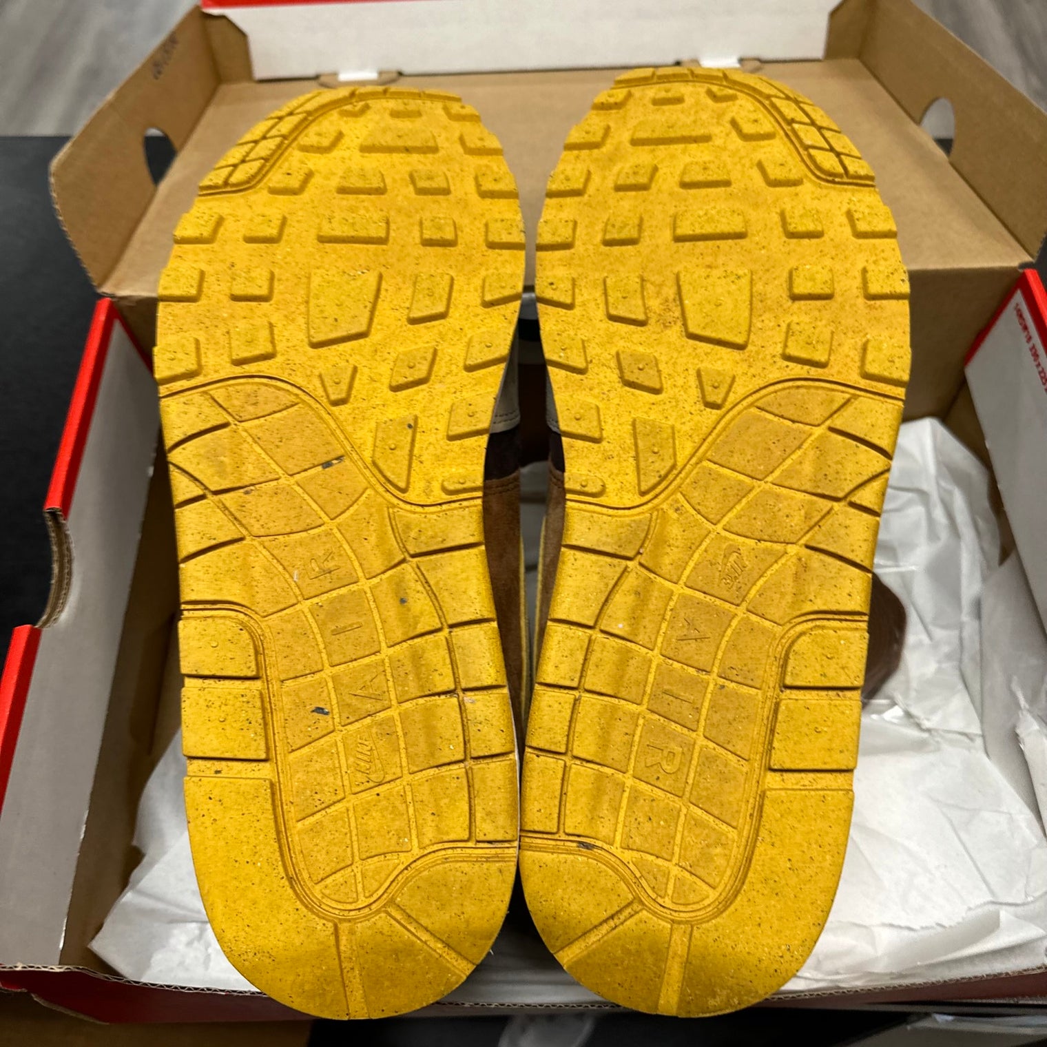 Nike Air Max 1 Ugly Duckling (Used)