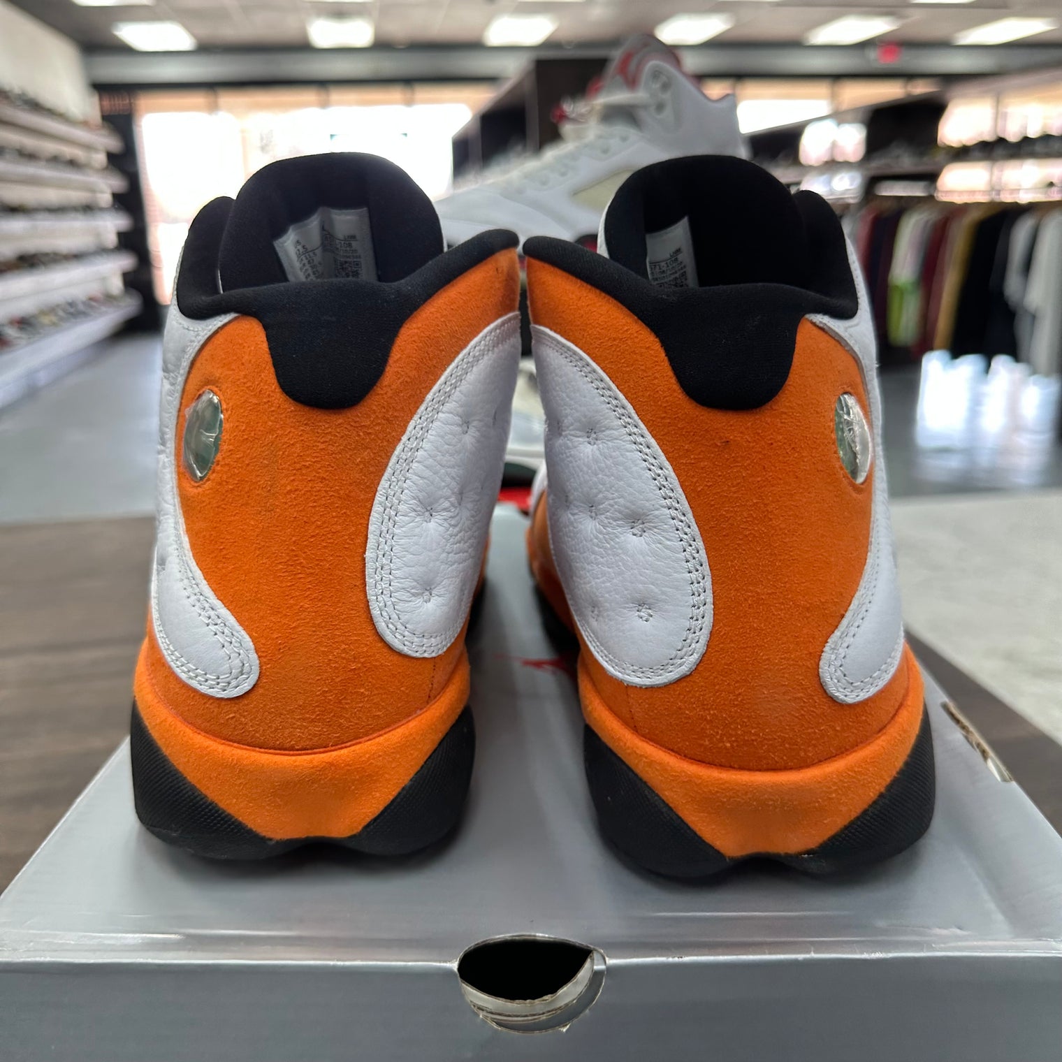 Starfish Jordan 13 (USED)
