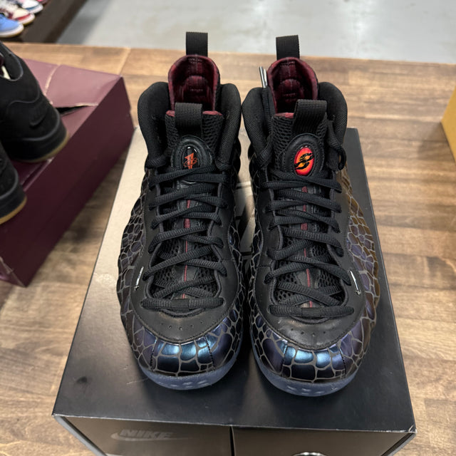 Tekken 8 Kazuya Mishima Nike Air Foamposite One (USED)