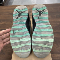 Nike Jordan 10 Statue of Liberty (USED NO BOX)