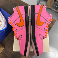 Powerpuff Girls Blossom SB Dunk Low (USED)