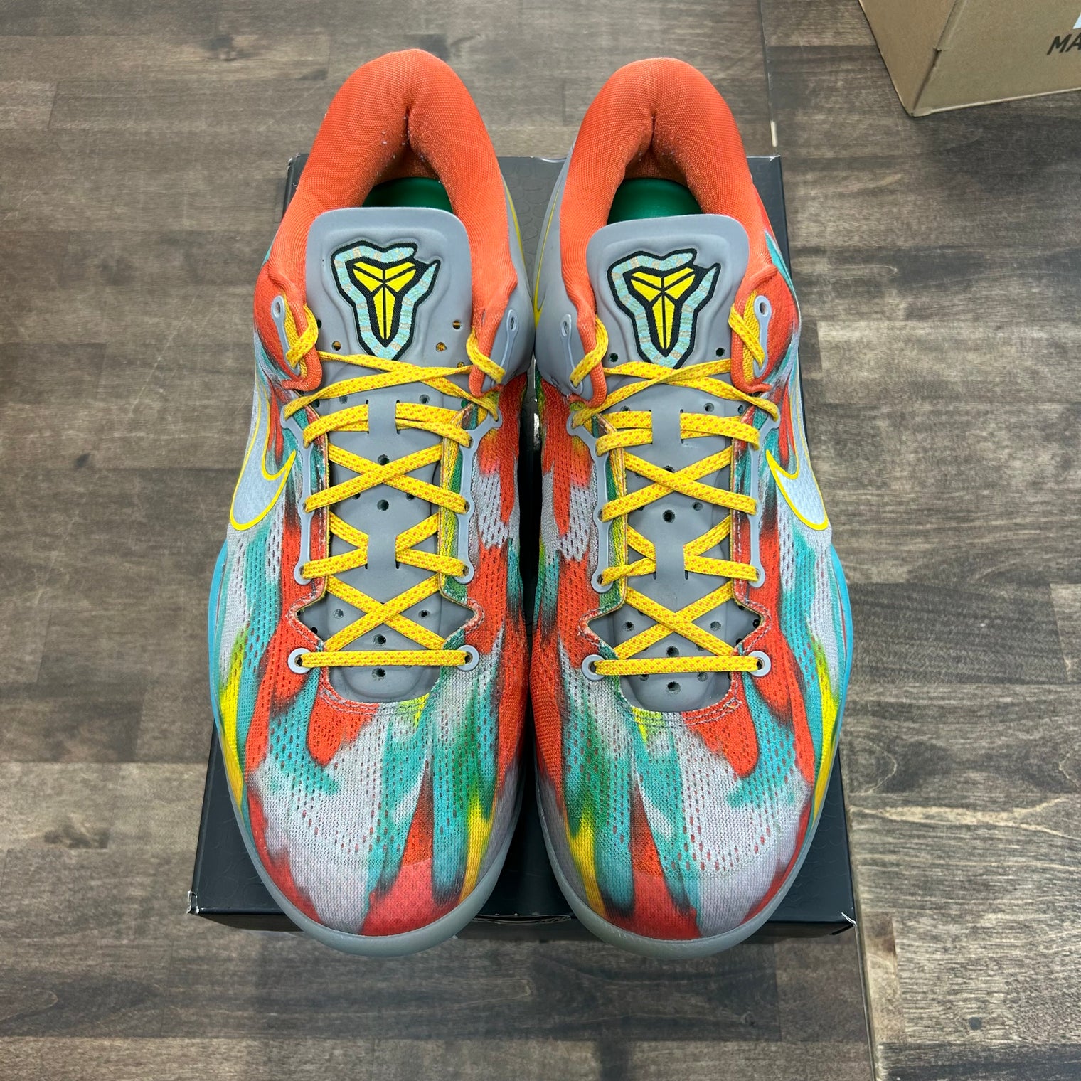 Venice Beach Kobe 8 Protro (USED)