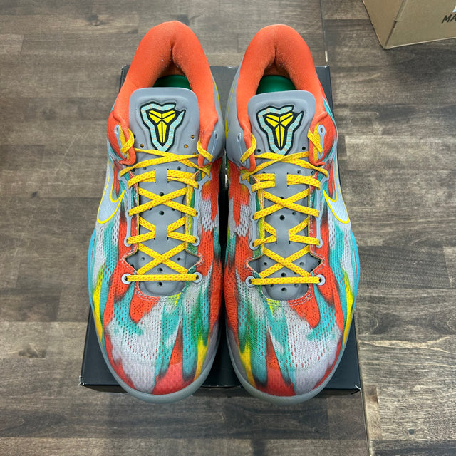 Venice Beach Kobe 8 Protro (USED)