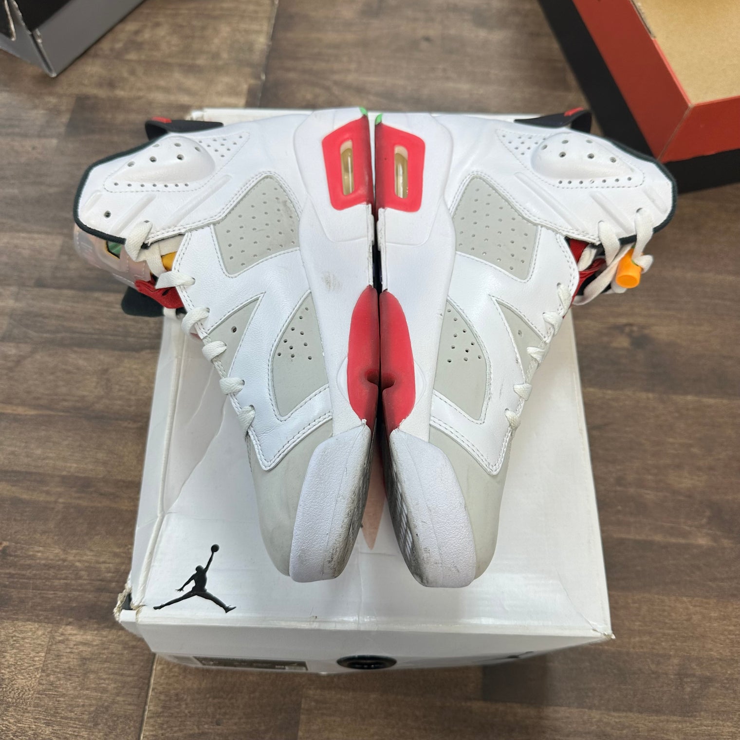 Hare Jordan 6 Retro (USED)