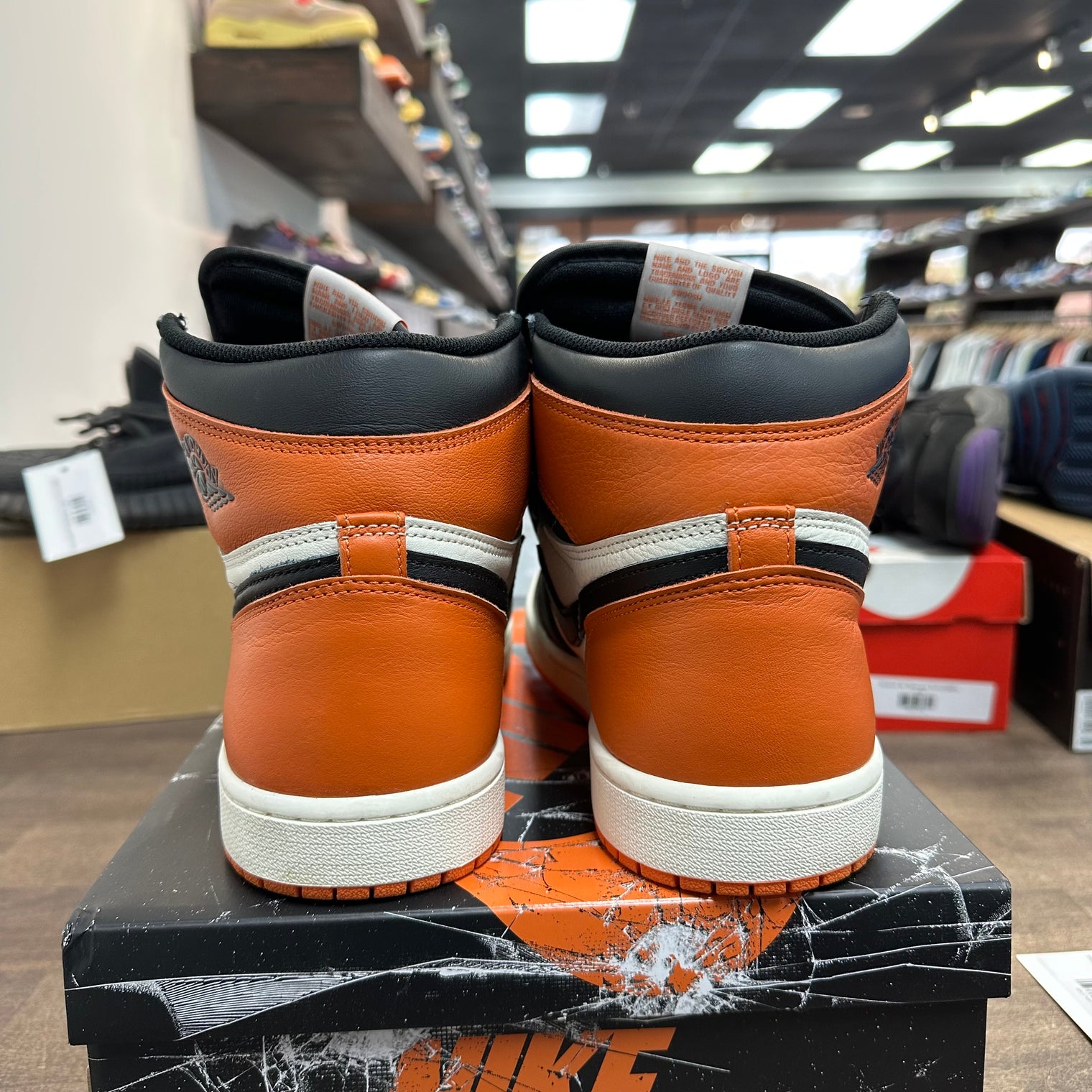 Shattered Backboard Jordan 1 High (2025) (USED)