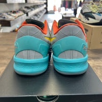 Venice Beach Kobe 8 Protro (USED)