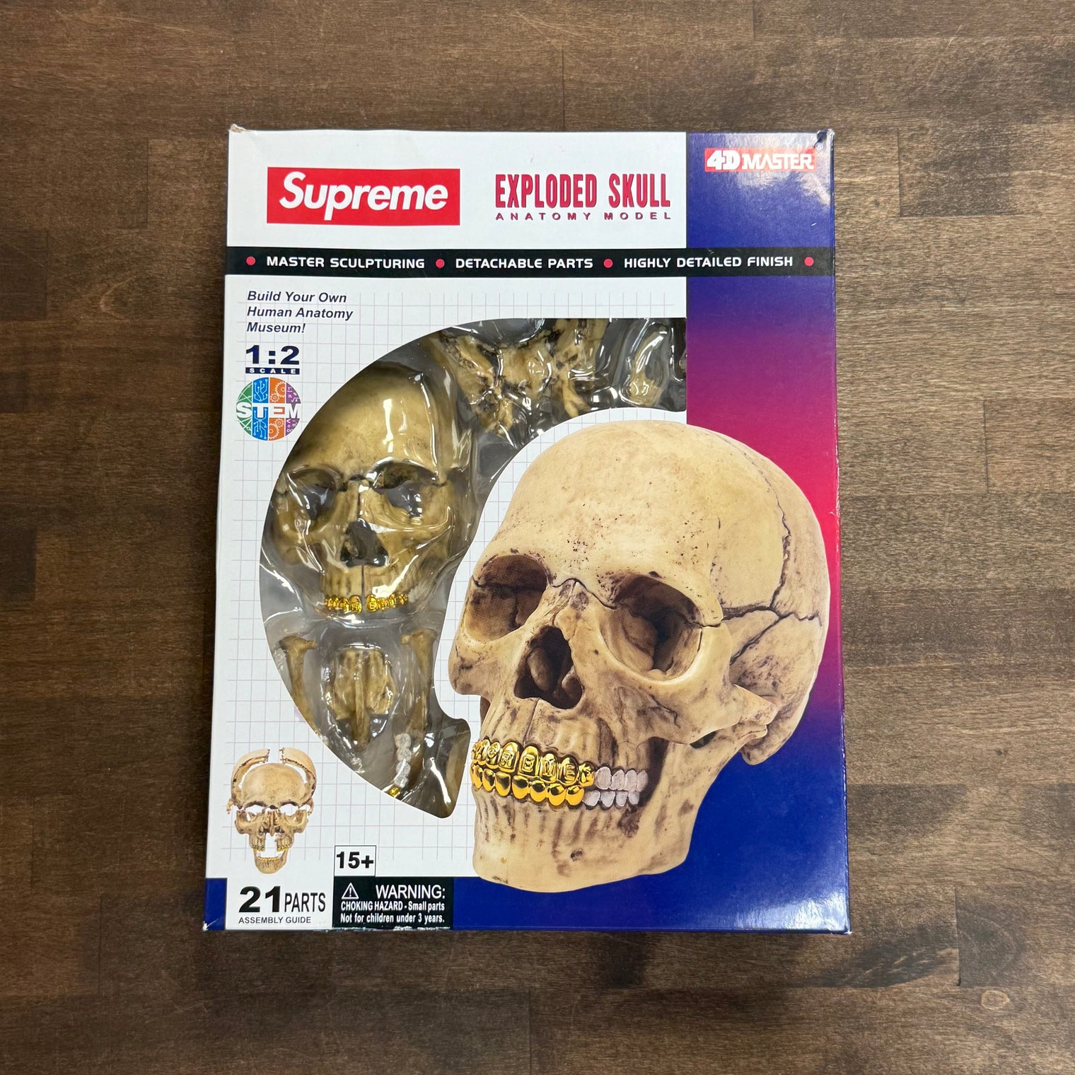 Supreme 4D Model Human Skull Natural (Sealed)