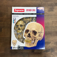 Supreme 4D Model Human Skull Natural (Sealed)