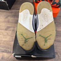 Grape Jordan 5 (2013) (USED)