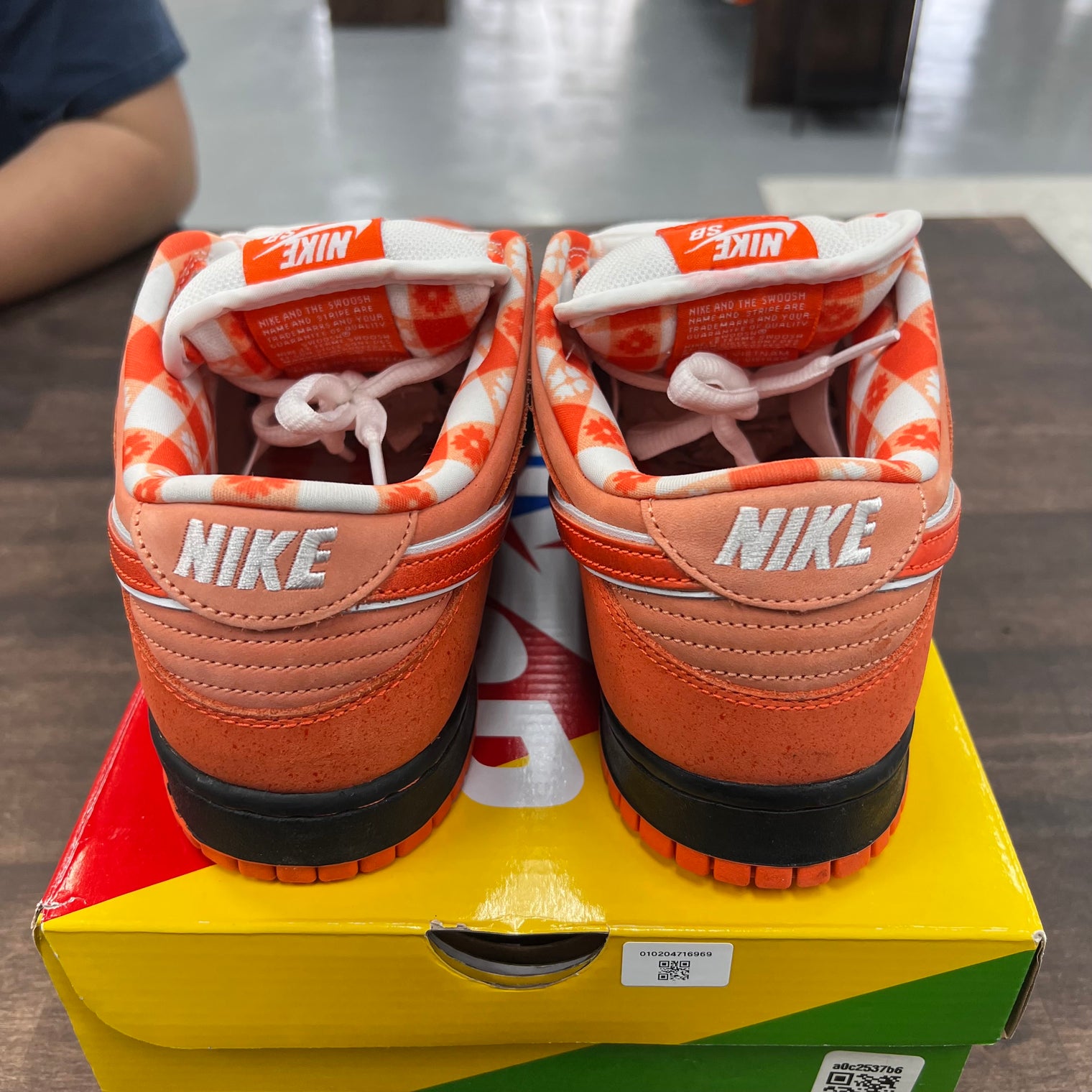 Orange Lobster Sb Dunk Low (USED)