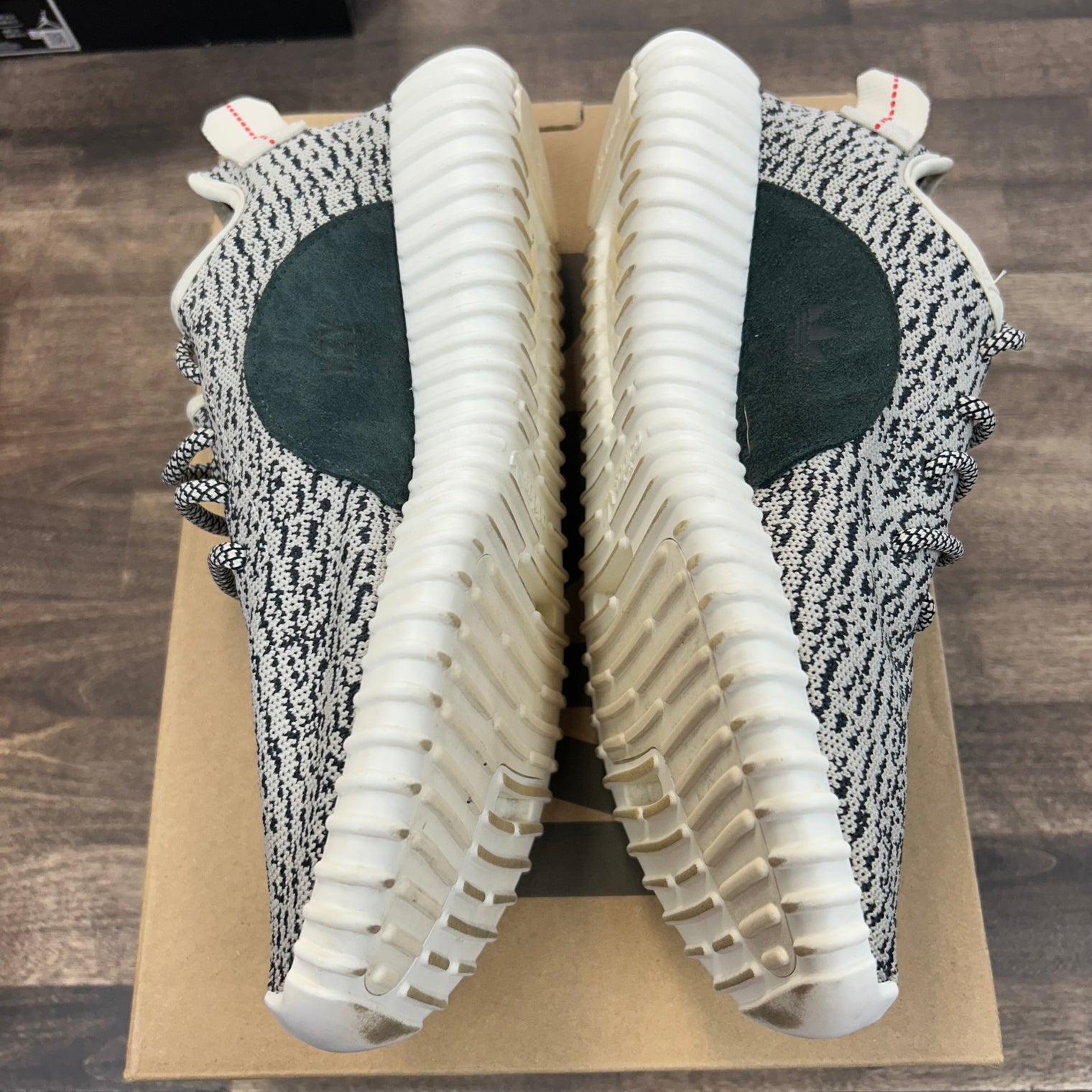 Turtledove Yeezy 350 (2022) (USED)