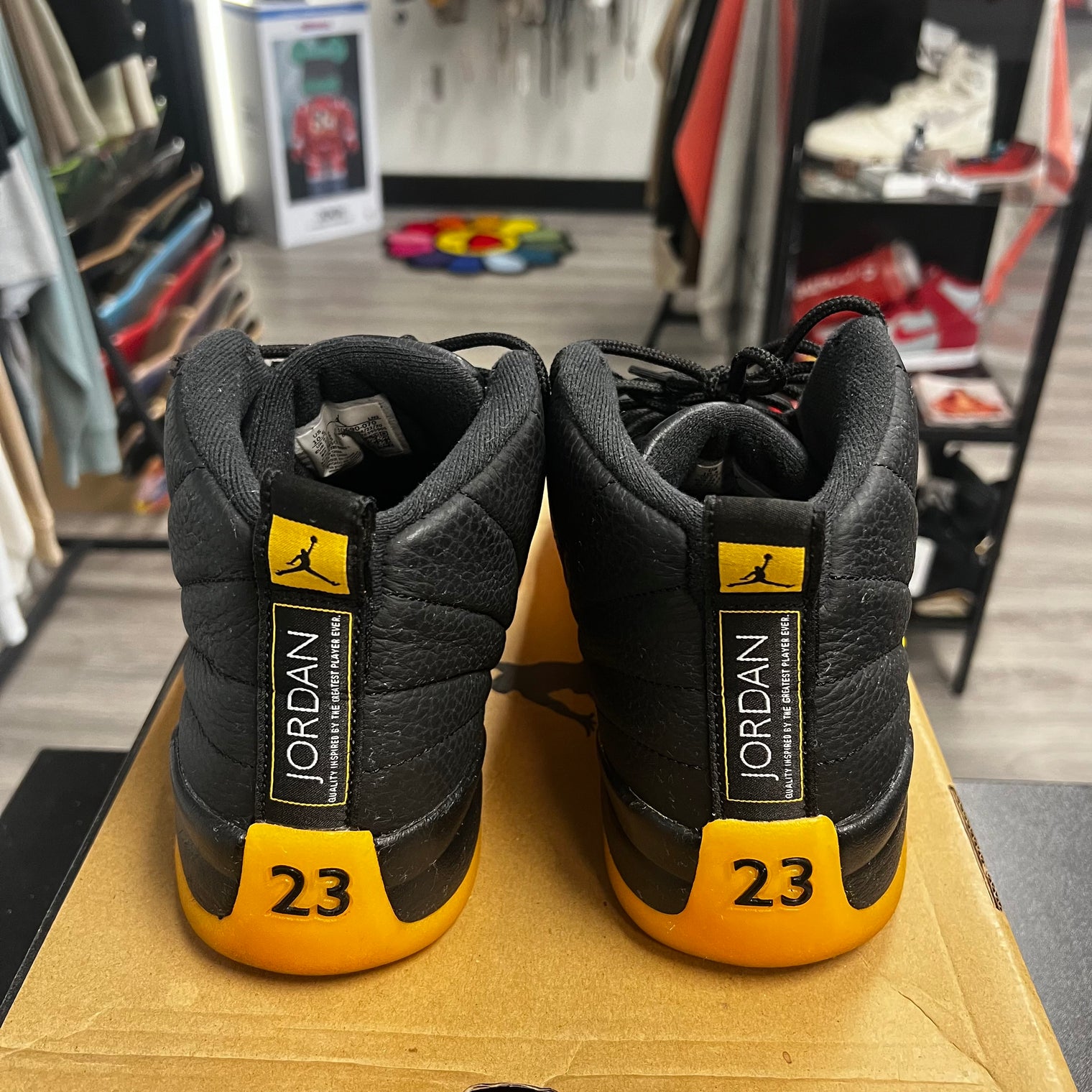 University Gold Jordan 12 Retro (USED)